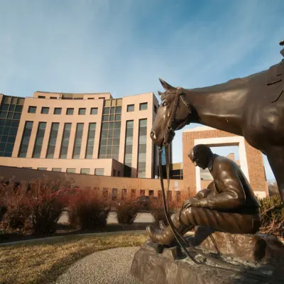 City Hall Horse Statue