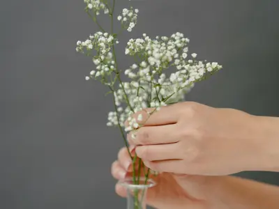 baby breath flowers in vase