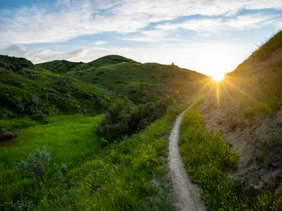 Green Coulee Trail Sunset Blue Sky