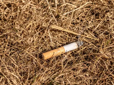 Cigarette in grass Fire Hazard