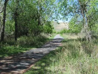 Path to the Oldman River summer, 2013. Photo T. Purkis