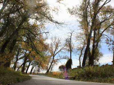 River Bottom Trail System Fall