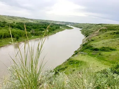 Oldman River Bottom Green Coulee